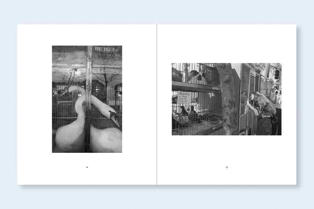 MARK STEINMETZ: France 1987