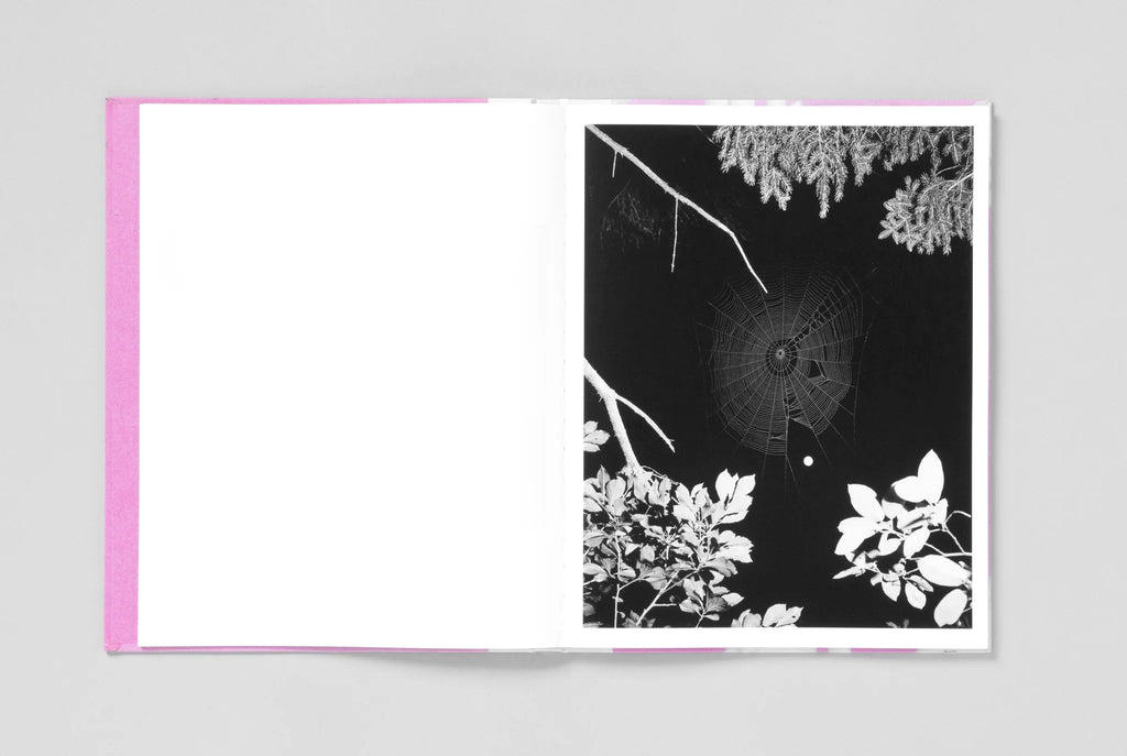 FLOWERS DRINK THE RIVER - Pia-Paulina Guilmoth