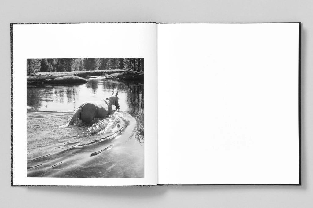 Megalith-Still - Mimi Plumb
