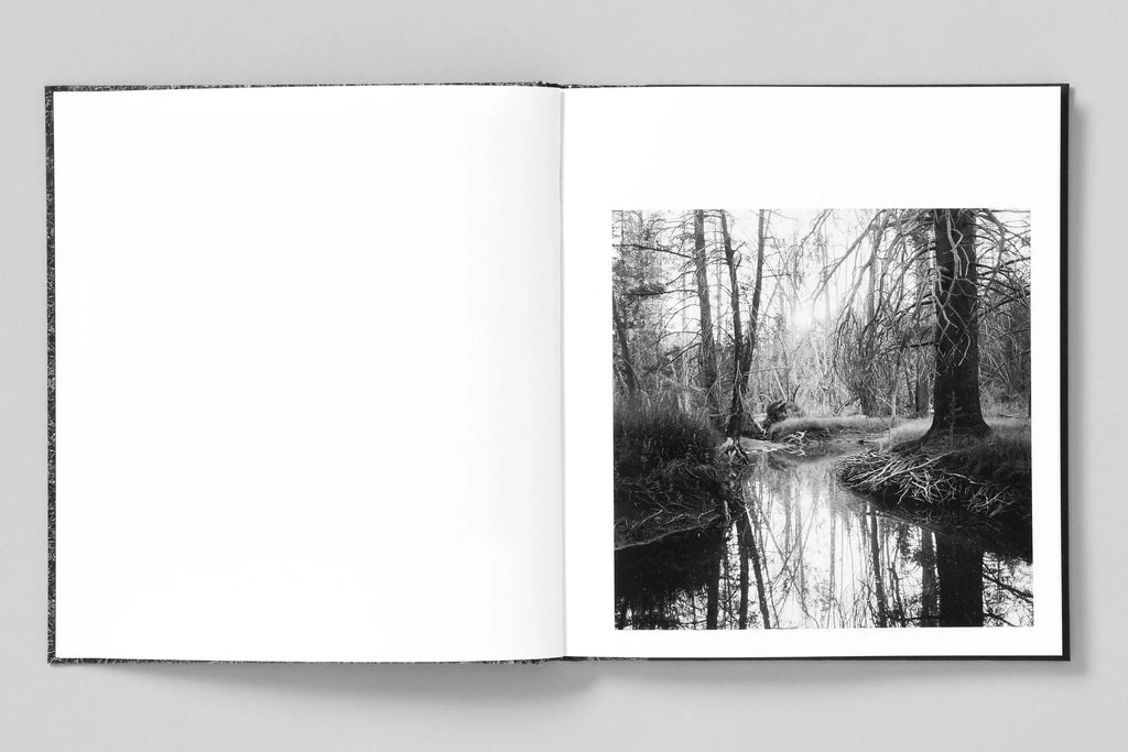 Megalith-Still - Mimi Plumb