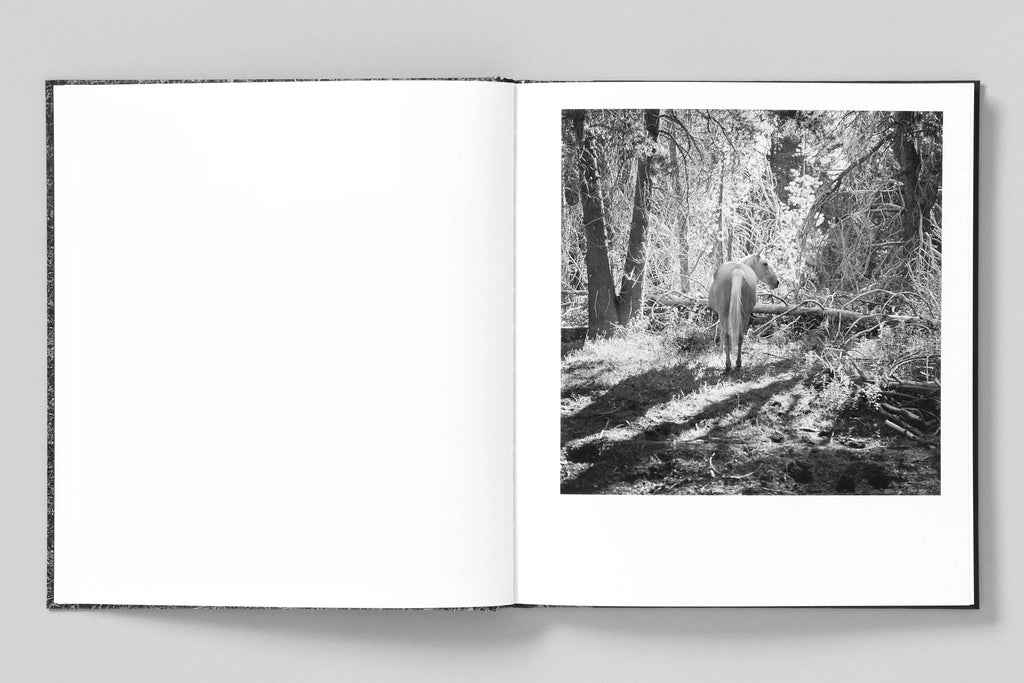 Megalith-Still - Mimi Plumb