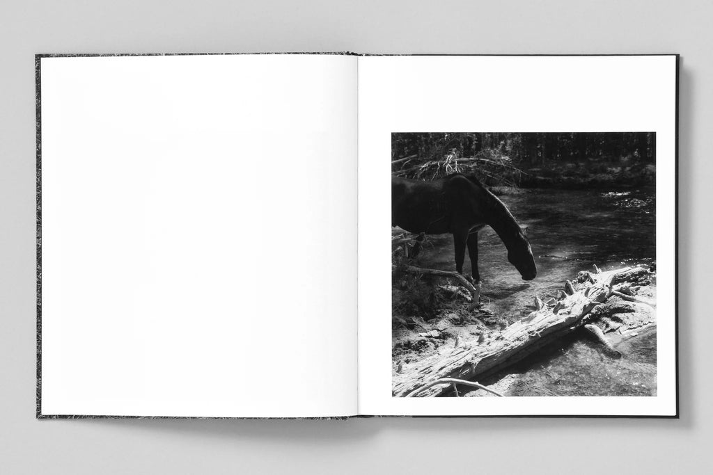 Megalith-Still - Mimi Plumb
