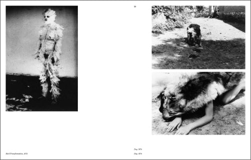 Ana Mendieta - Search for Origin