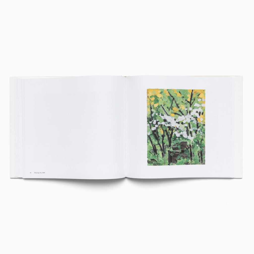 Maureen Gallace: Paintings on Paper