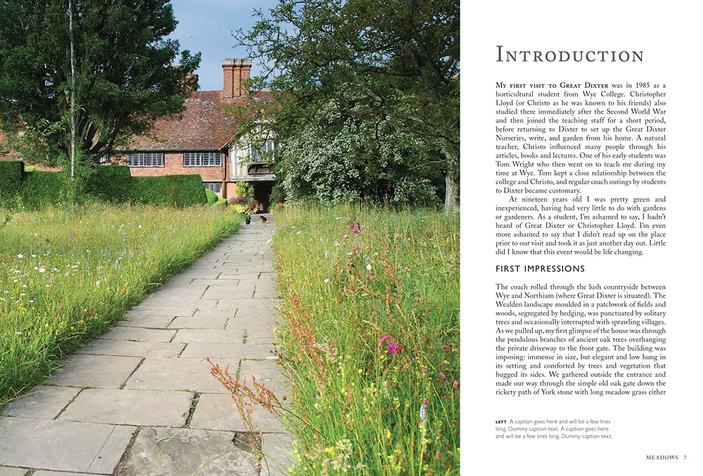 Meadows at Great Dixter and Beyond