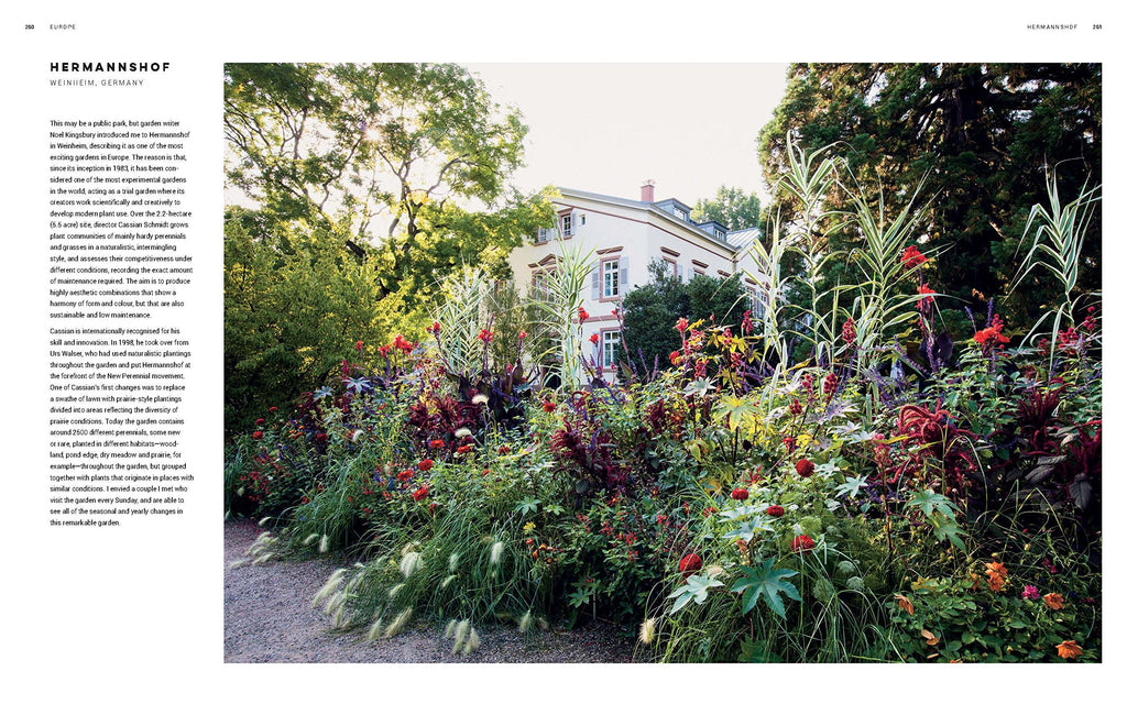 Dreamscapes: Inspiration and Beauty in Gardens Near and Far