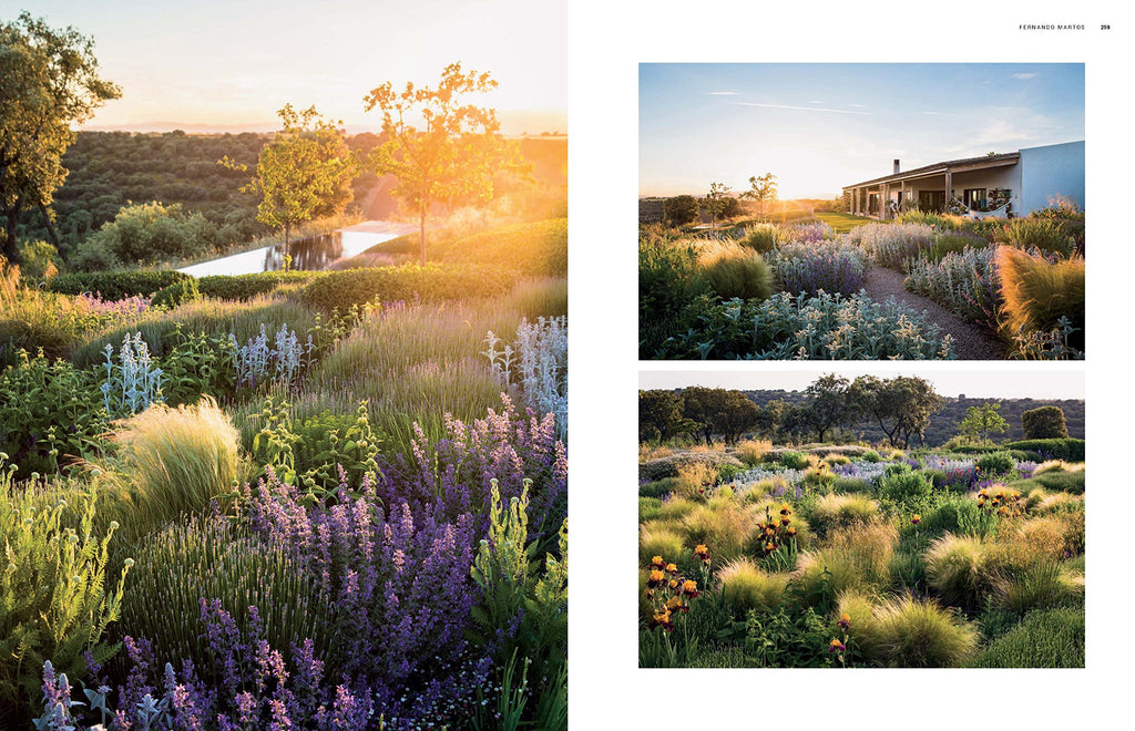 Dreamscapes: Inspiration and Beauty in Gardens Near and Far