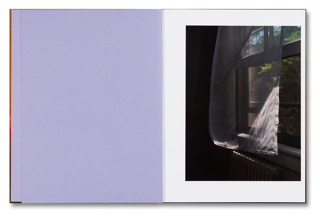 Verdigris / Ambergris - Paul Graham