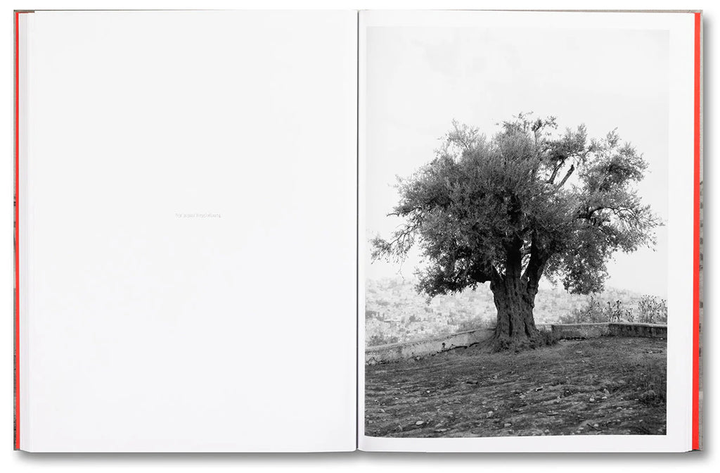 Anchor in the Landscape - Adam Broomberg & Rafael Gonzalez
