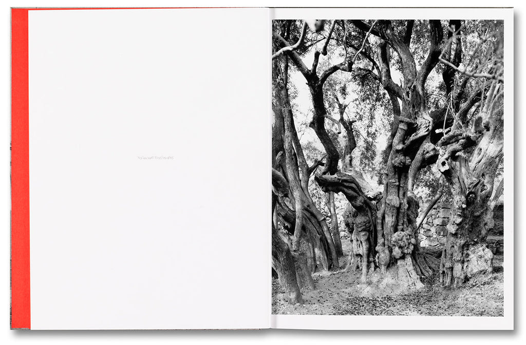 Anchor in the Landscape - Adam Broomberg & Rafael Gonzalez