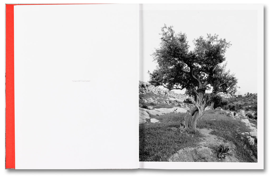 Anchor in the Landscape - Adam Broomberg & Rafael Gonzalez