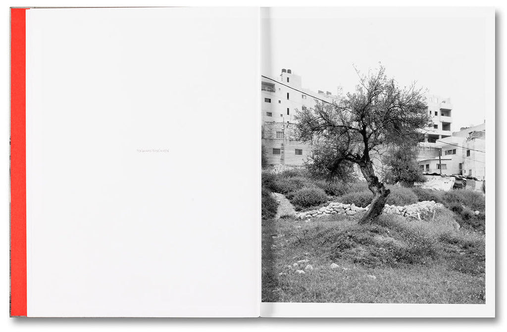 Anchor in the Landscape - Adam Broomberg & Rafael Gonzalez