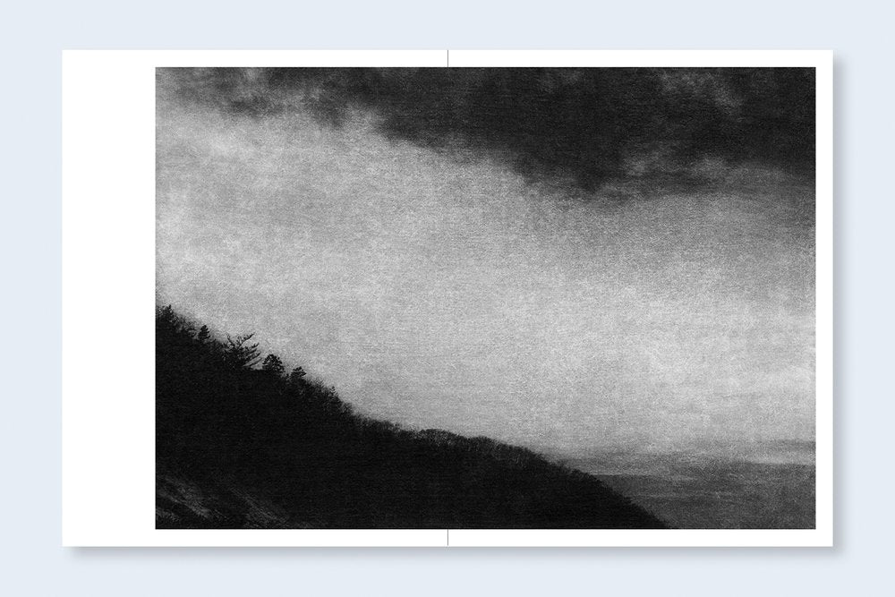 JUNGJIN LEE: Voice