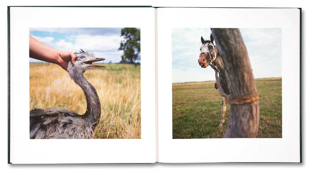 On the Sixth Day - Alessandra Sanguinetti *Signed