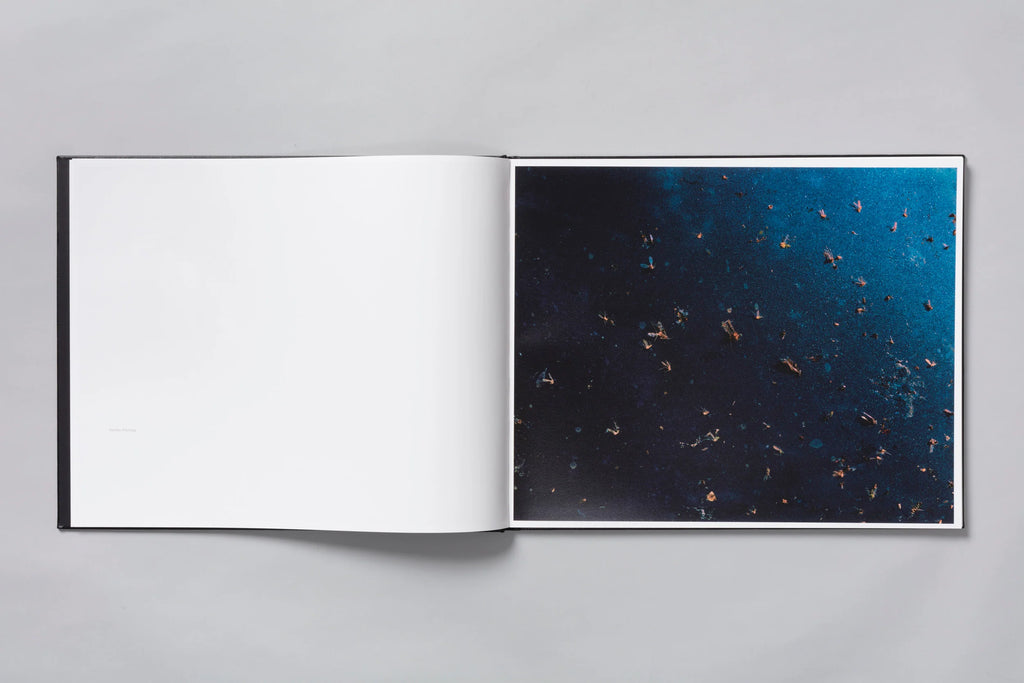 WINDSCREEN - PHIL JUNG