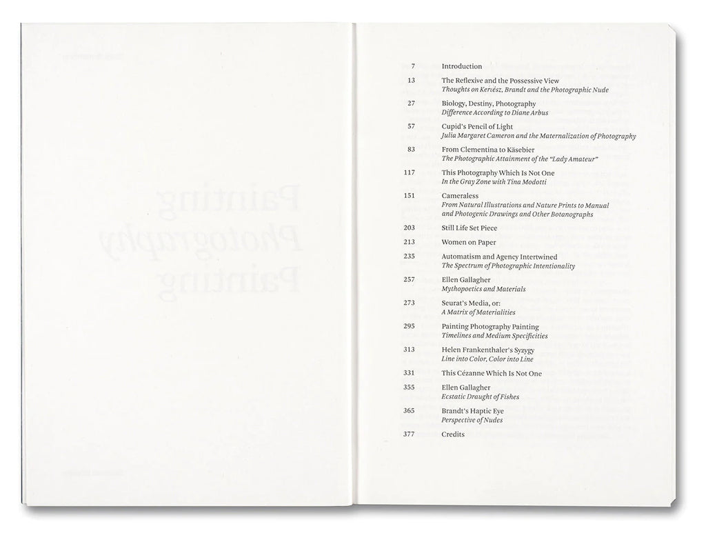 Painting Photography Painting: Selected Essays - Carol Armstrong