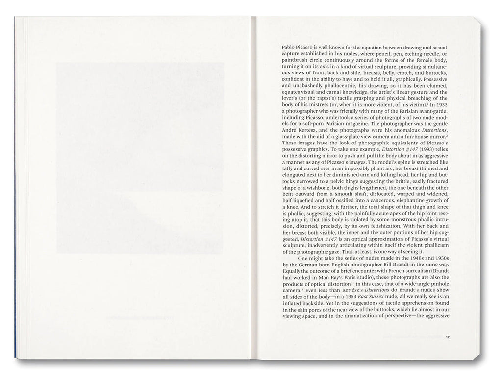 Painting Photography Painting: Selected Essays - Carol Armstrong