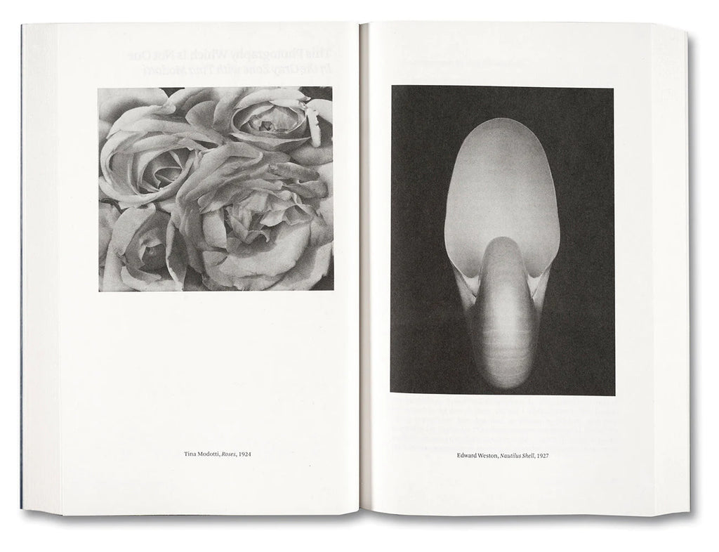 Painting Photography Painting: Selected Essays - Carol Armstrong