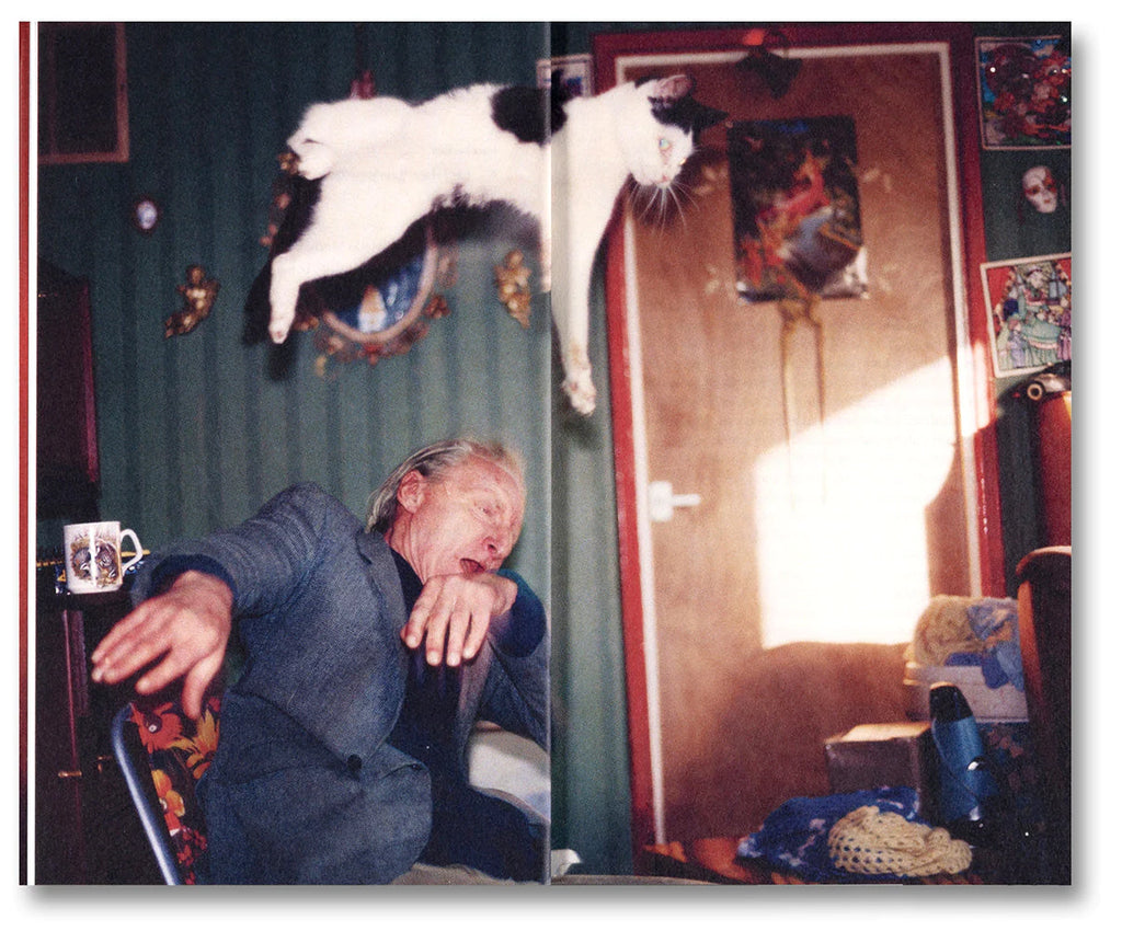 Ray's a Laugh: A Reader - Liz Jobey (ed.)