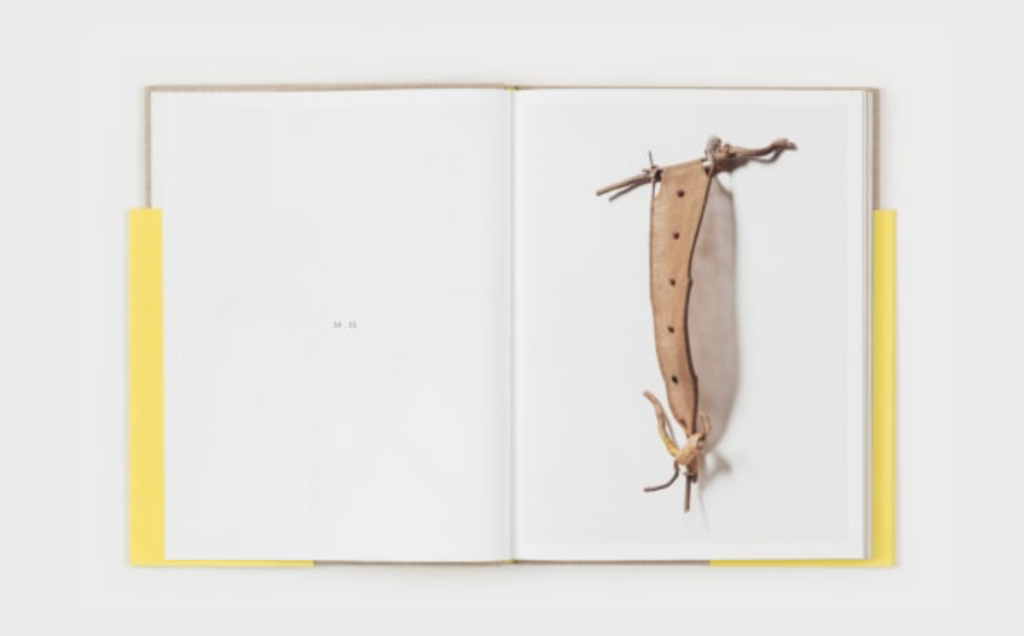 SVEN LUKIN - BRANCHES