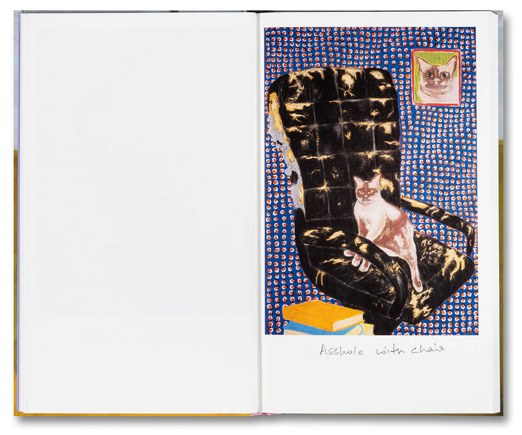 Things Felt But Not Quite Expressed - Sohrab Hura *Signed