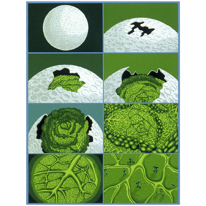 Moon Trax - Tiger Tateishi