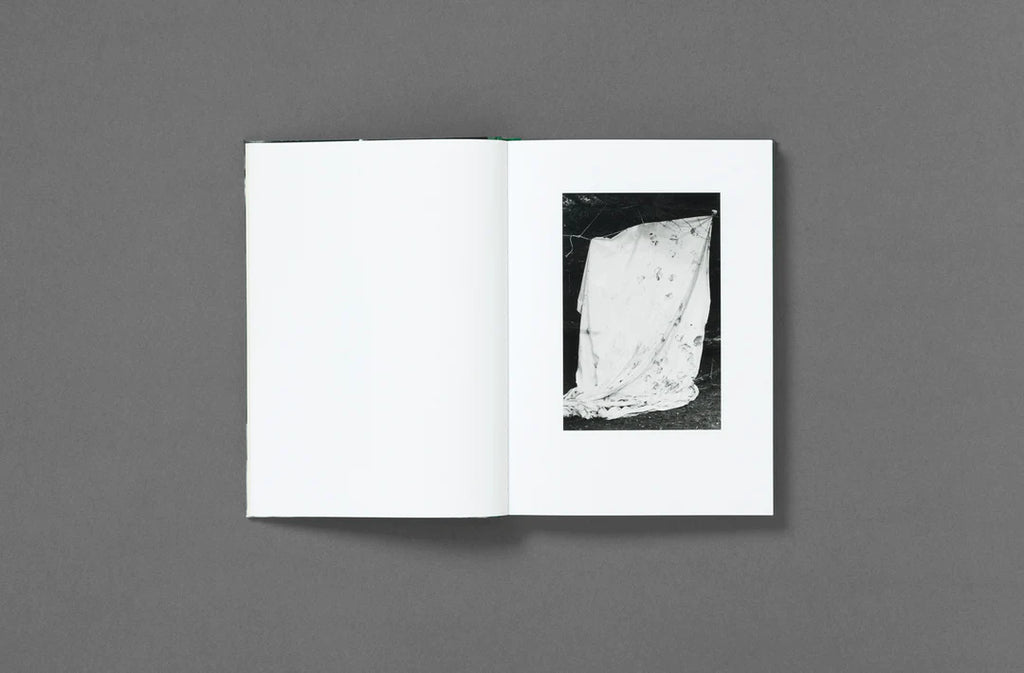 Yana Wernicke – Companions
