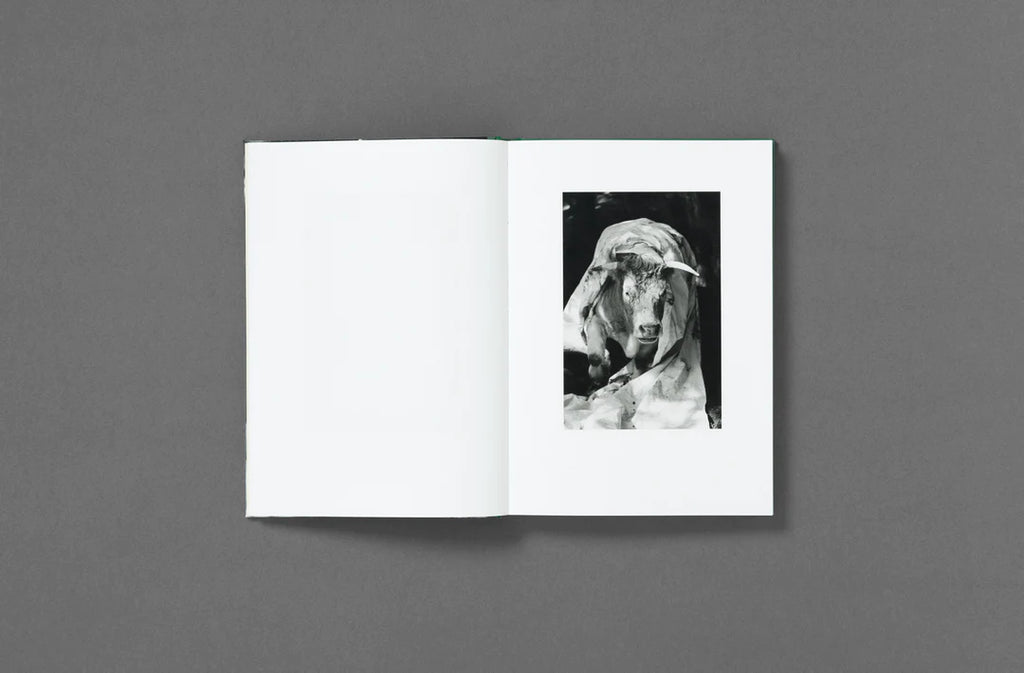 Yana Wernicke – Companions