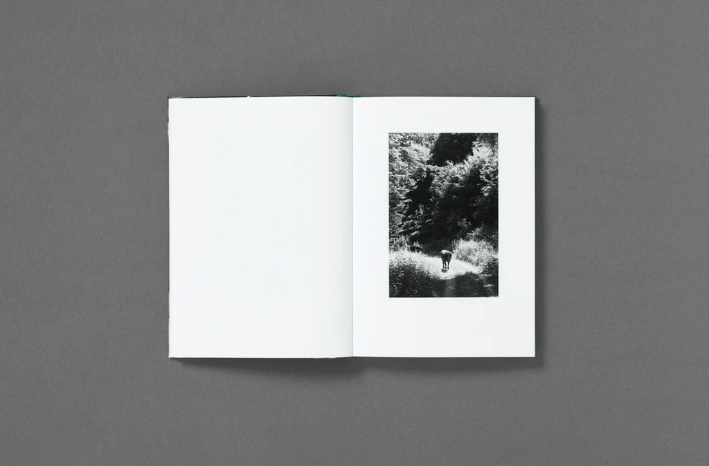 Yana Wernicke – Companions