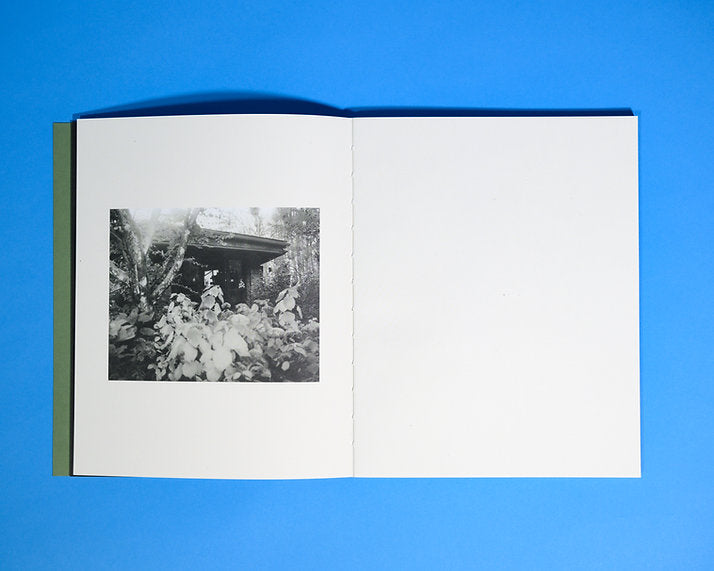 Plumwood - Rory King