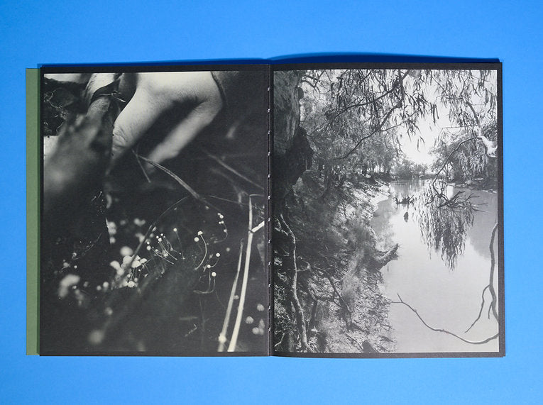 Plumwood - Rory King