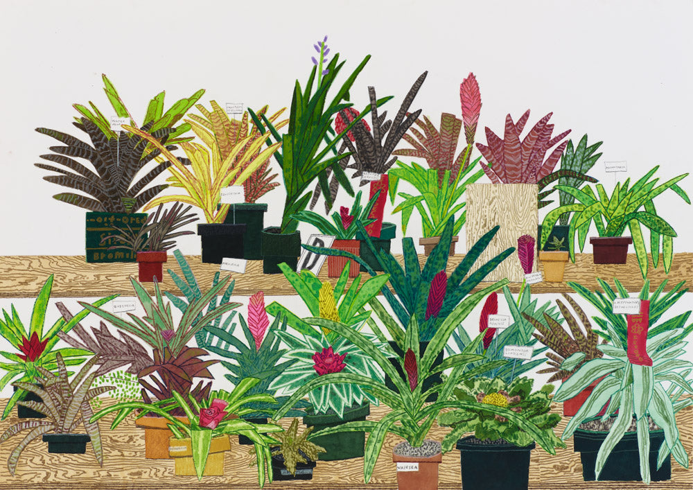 Jonas Wood: Drawings
