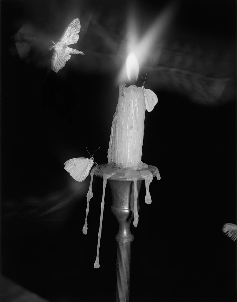 FLOWERS DRINK THE RIVER - Pia-Paulina Guilmoth