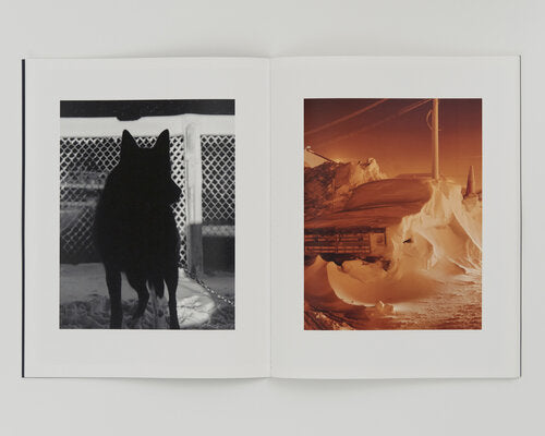 Polar Night - Mark Mahaney