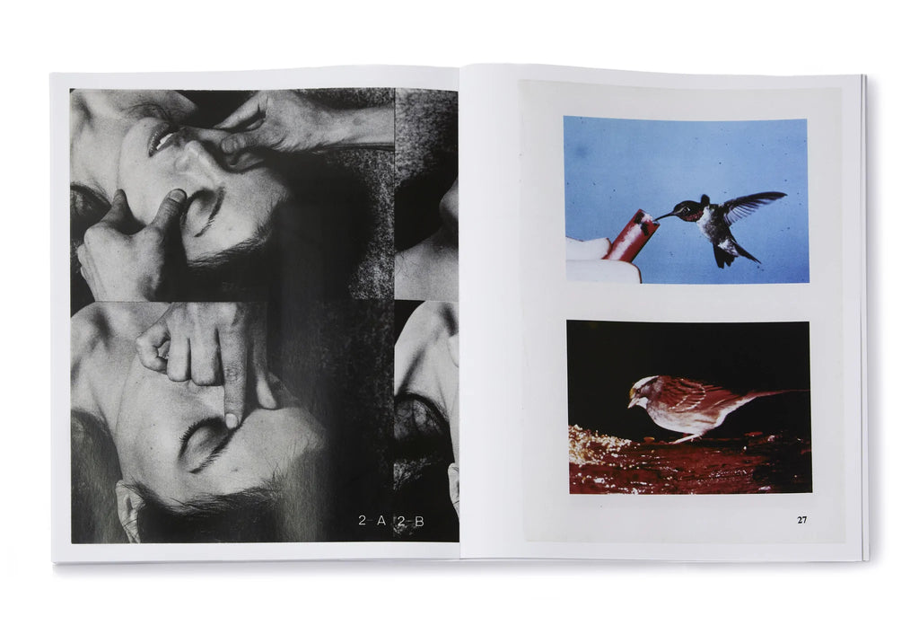 example image of woman getting face massage and two picture of birds