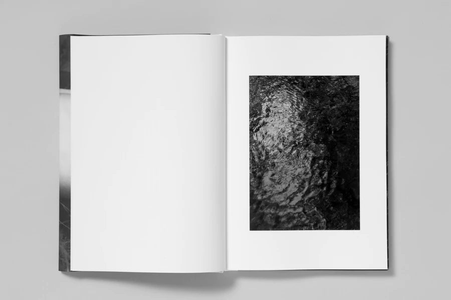 ELV - Massimo Leardini