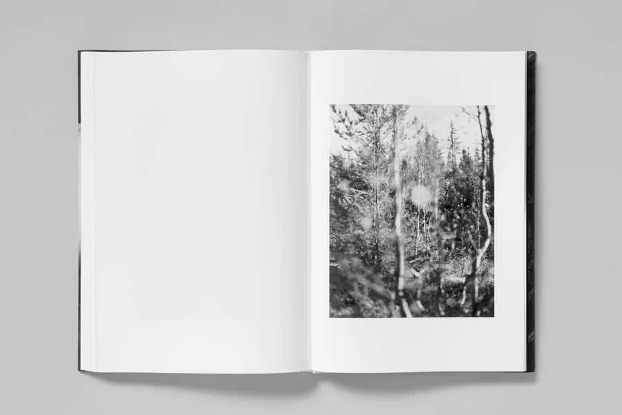 ELV - Massimo Leardini