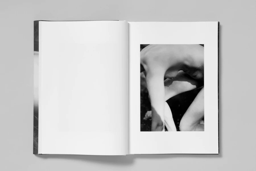 ELV - Massimo Leardini