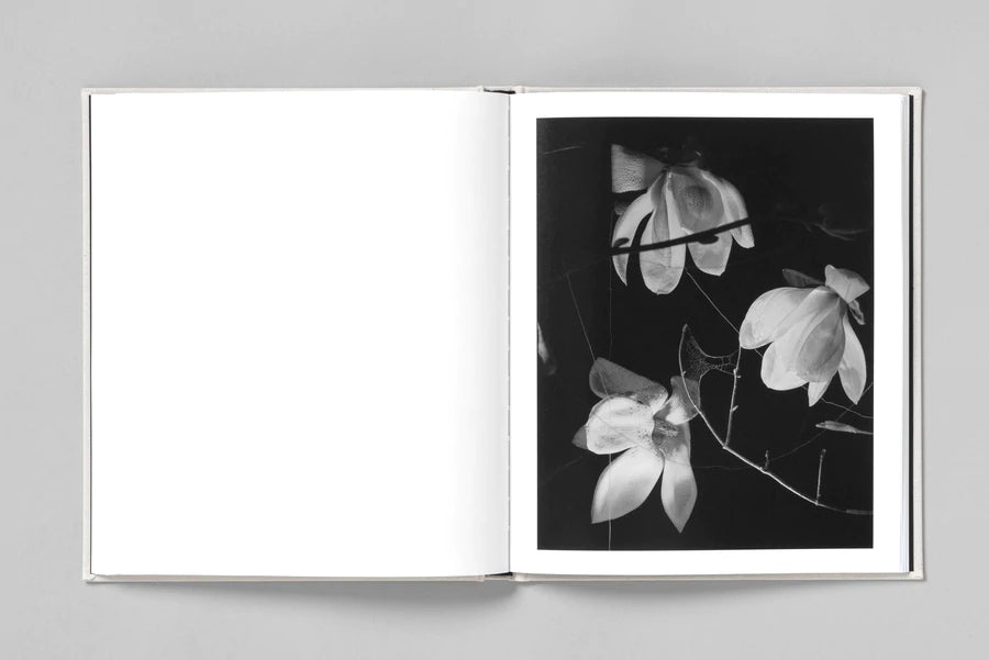 AT NIGHT GARDENS GROW - Paul Guilmoth