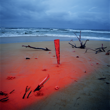 John Divola - Chroma
