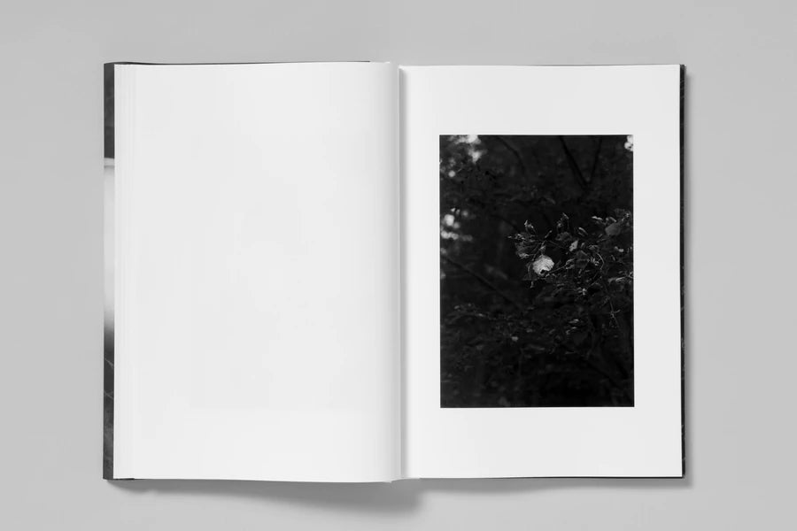 ELV - Massimo Leardini