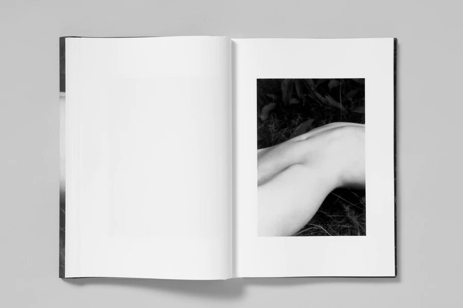 ELV - Massimo Leardini