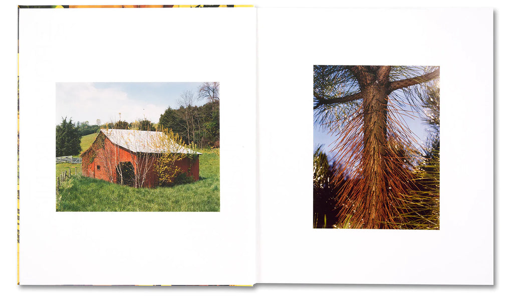 Roe Ethridge: AMERICAN POLYCHRONIC