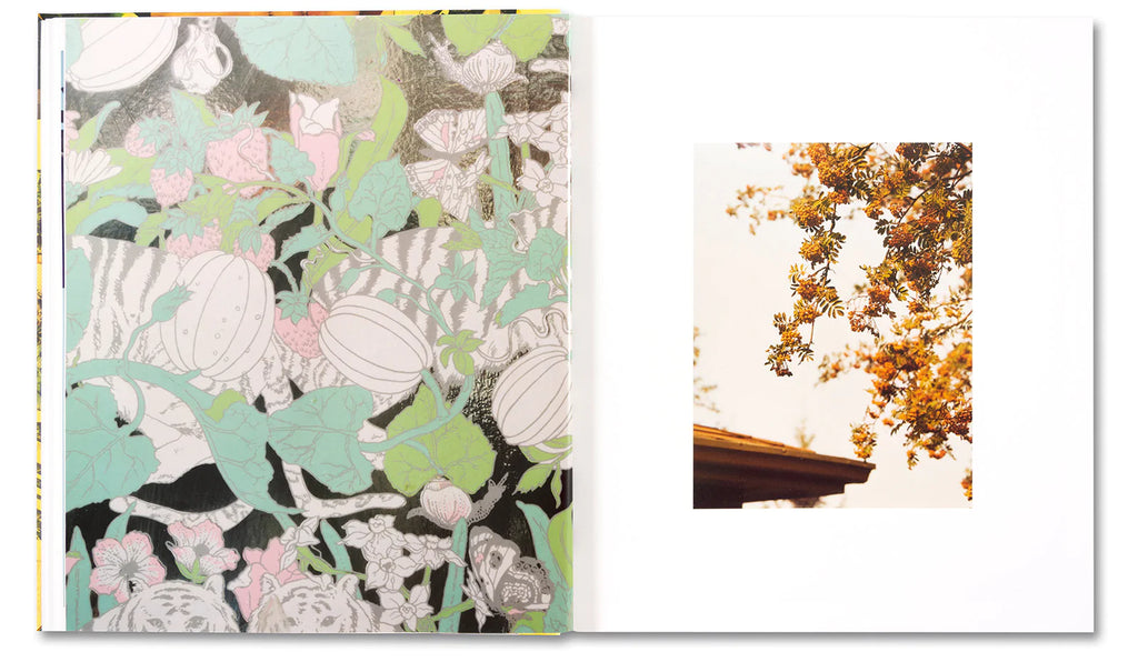 Roe Ethridge: AMERICAN POLYCHRONIC