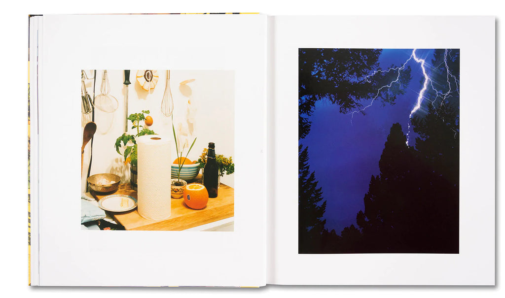Roe Ethridge: AMERICAN POLYCHRONIC