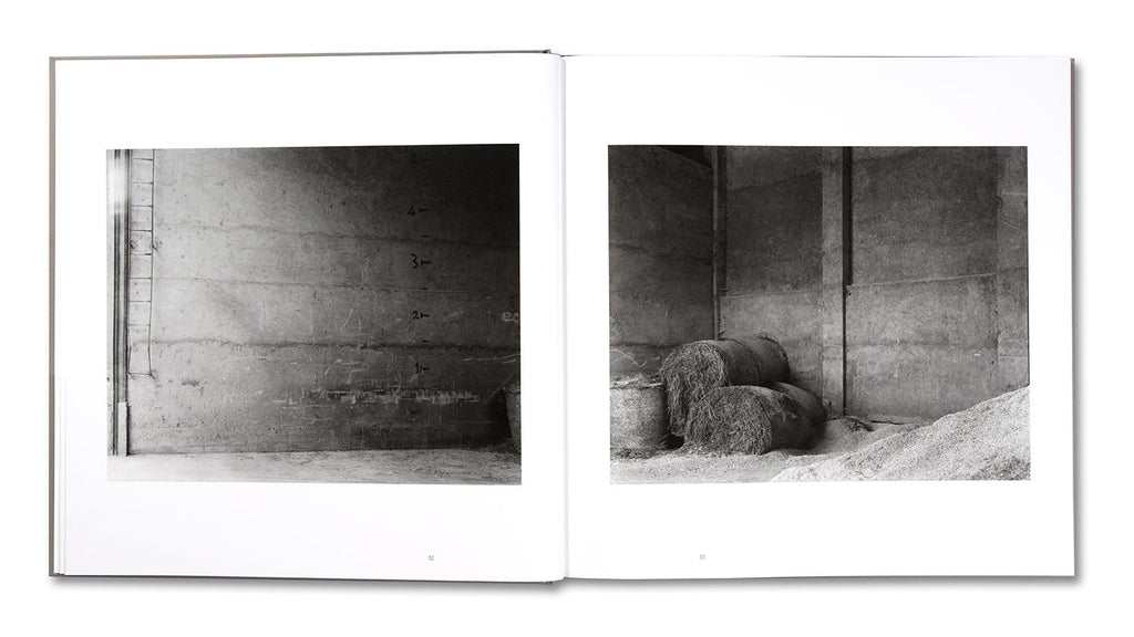 Cinque viaggi (1990-98) - Guido Guidi *Signed