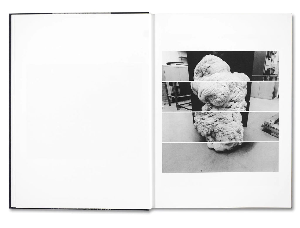 Evidence - James White