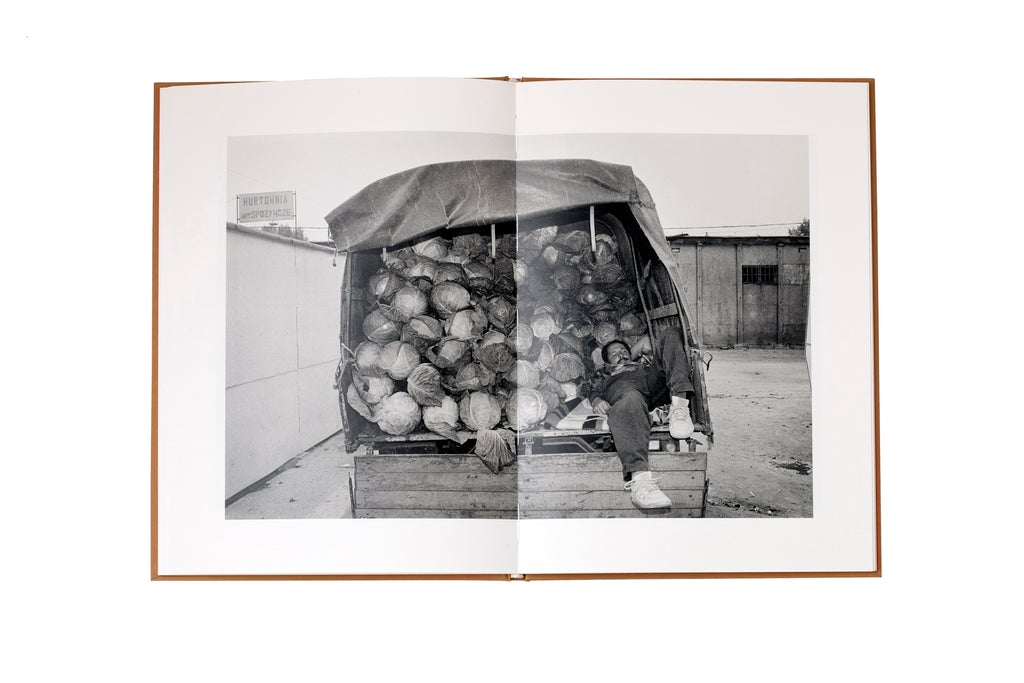 First Journey Home - MISHA KOMINEK *Signed
