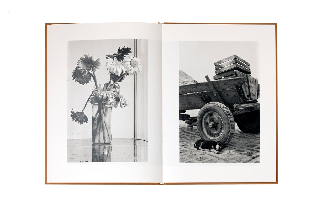 First Journey Home - MISHA KOMINEK *Signed