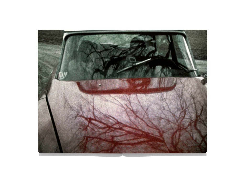 First Trip to Bologna 1978/Last Trip to Venice 1985 - Seiichi Furuya
